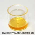 Huile de cannabis Blackberry Kush THC